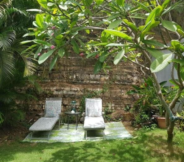 Casa Mia Guest House Rincon Ngoại thất bức ảnh
